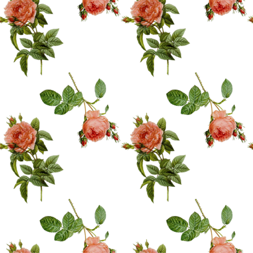 Заливки для photoshop - Винтажные розы на прозрачном фоне