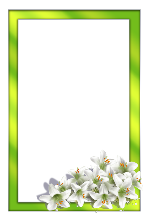Flowers styles & frames